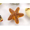 Set of 3 Lovely[Starfish]Resin Kids/Adult Drawer/Cabinet Handles/Pulls(0.98'')
