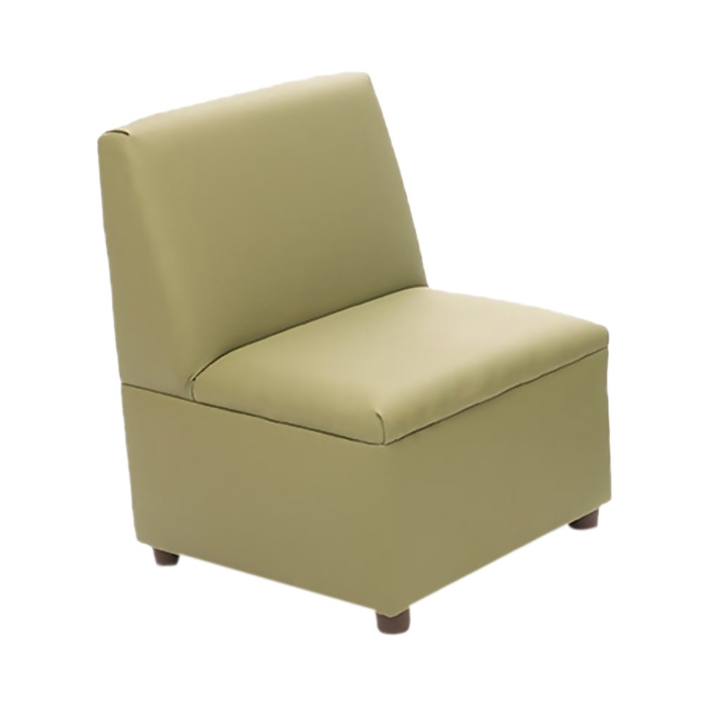 Brand New World Modern Casual Enviro-Child Upholstery Sage Chair
